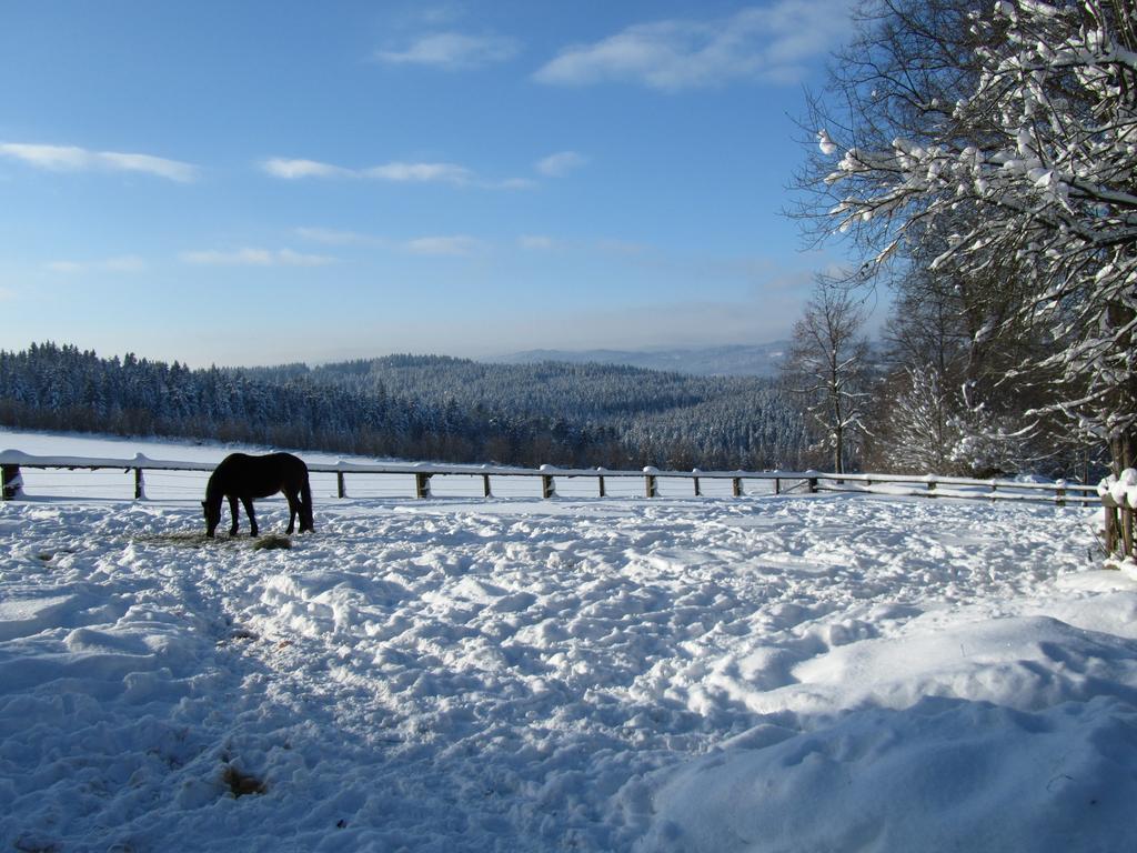 Ferienhaus Zopfhaeusl Villa Bobrach Luaran gambar