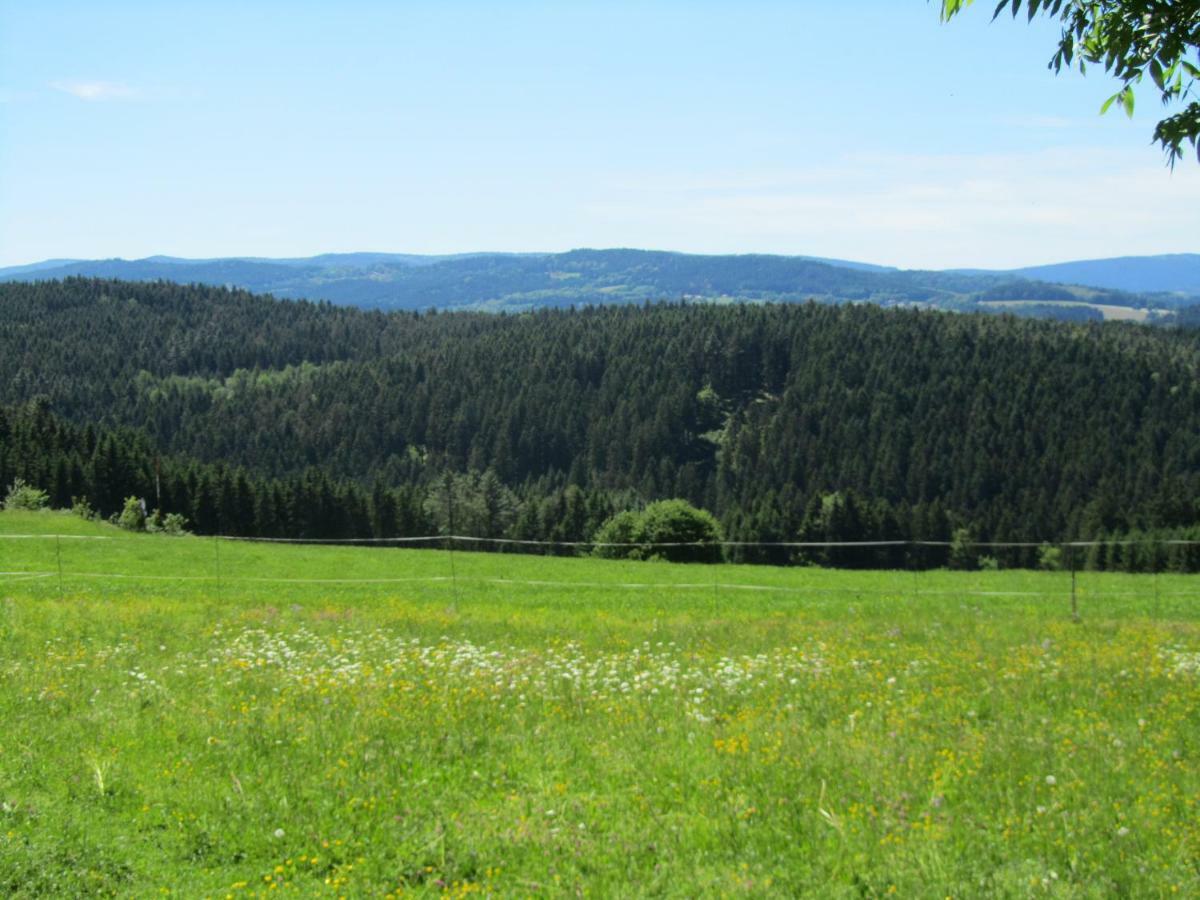 Ferienhaus Zopfhaeusl Villa Bobrach Luaran gambar