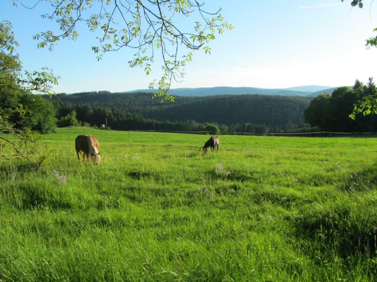 Ferienhaus Zopfhaeusl Villa Bobrach Luaran gambar